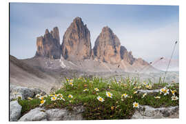 Aluminium print Tre Cime, Dolomiti