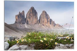 Gallery print Tre Cime, Dolomiti