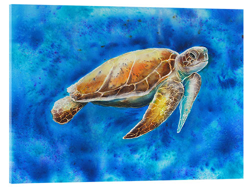 Acrylic print turtle