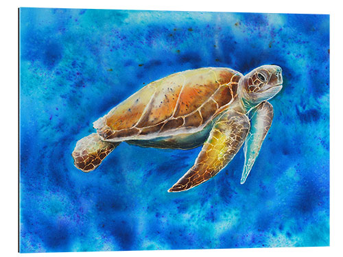 Quadro em plexi-alumínio turtle