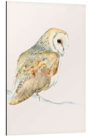 Aluminium print Barn Owl