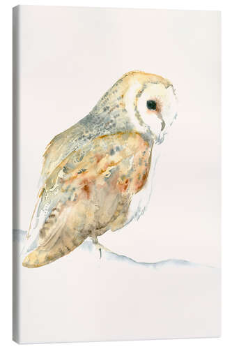 Canvas print Barn Owl