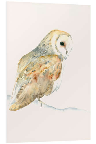 Foam board print Barn Owl