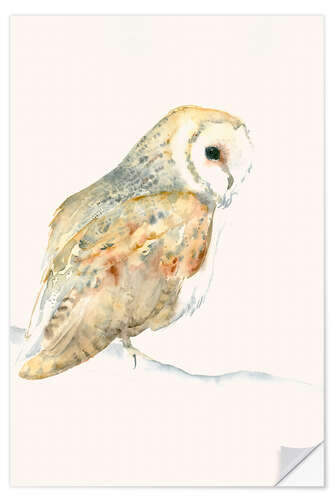 Wall sticker Barn Owl