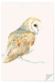 Wall sticker Barn Owl