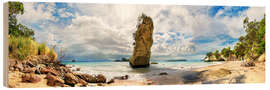 Tableau en bois Plage idyllique de Cathedral Cove en Nouvelle-Zélande