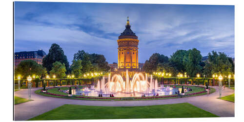 Tableau en plexi-alu Château d'eau de Mannheim et roseraie la nuit