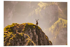 Foam board print Capricorn in the Alps