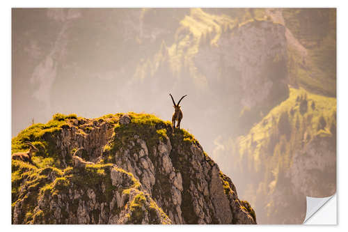 Naklejka na ścianę Capricorn in the Alps