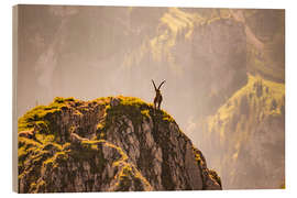 Wood print Capricorn in the Alps