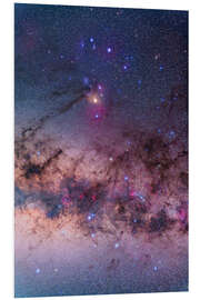 Foam board print Scorpius with parts of Lupus and Ara regions of the southern Milky Way.