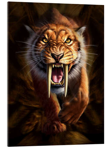 Acrylic print Full on view of a Saber-toothed Tiger