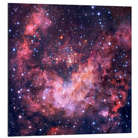 Aluminium print Westerlund 2 star cluster in Carina.