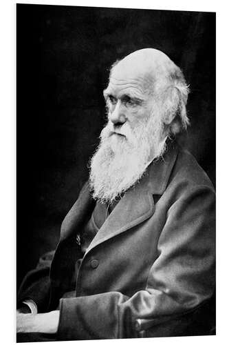 Cuadro de PVC Charles Darwin