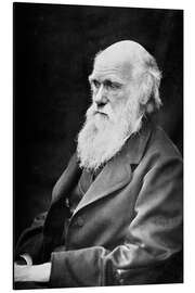 Magnettafel Charles Darwin