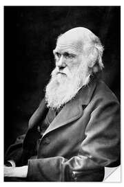 Wall sticker Charles Darwin