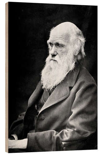 Cuadro de madera Charles Darwin