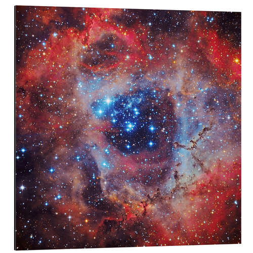 Aluminium print The Rosette Nebula