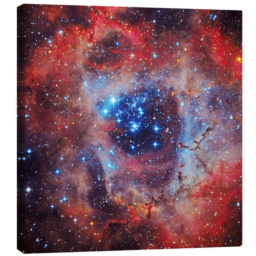 Canvastavla The Rosette Nebula