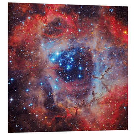 Foam board print The Rosette Nebula