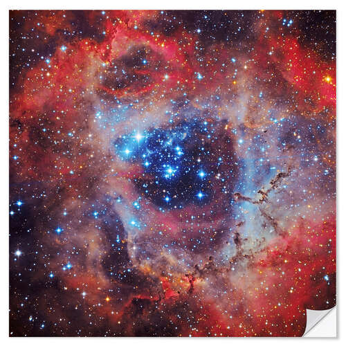 Vinilo para la pared The Rosette Nebula