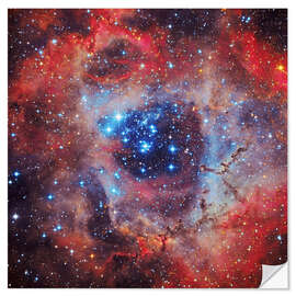 Adesivo murale The Rosette Nebula