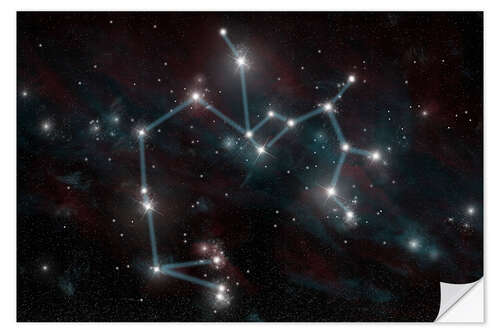 Vinilo para la pared Artist's depiction of the constellation Sagittarius the Archer.