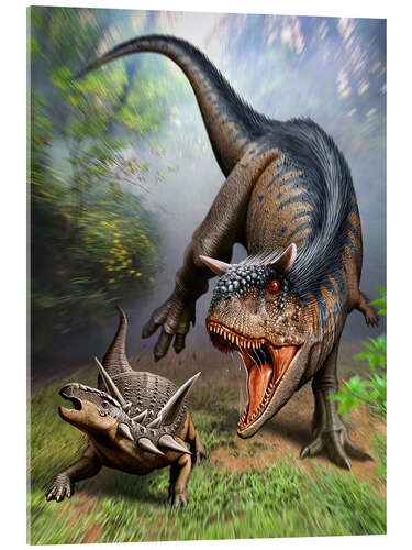 Acrylic print Carnotaurus attacking at Antarctopelta armored dinosaur