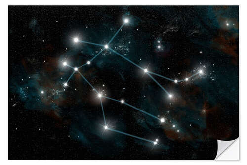 Wall sticker Artist's depiction of the constellation Gemini the Twins.