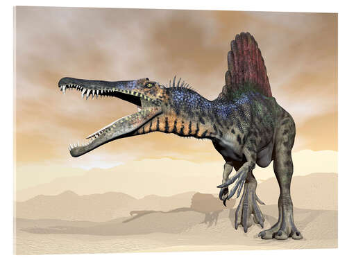 Acrylglas print Spinosaurus dinosaur roaring in the desert.