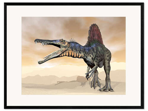Framed art print Spinosaurus dinosaur roaring in the desert.