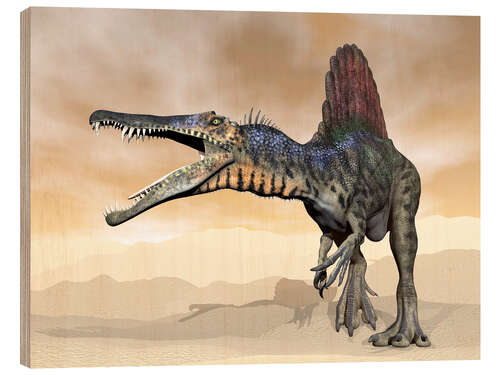 Wood print Spinosaurus dinosaur roaring in the desert.