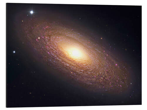 Tableau en aluminium NGC 2841, galaxie spirale de la Grande Ourse