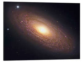 Aluminium print NGC 2841, spiral galaxy in Ursa Major.