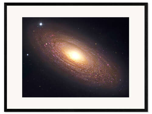 Impresión de arte enmarcada NGC 2841, spiral galaxy in Ursa Major.