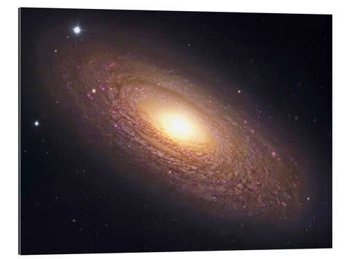 Gallery Print NGC 2841, Spiralnebel im Ursa Major