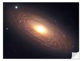 Wall sticker NGC 2841, spiral galaxy in Ursa Major.