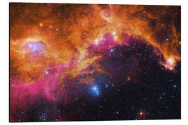 Aluminium print the seagull nebula