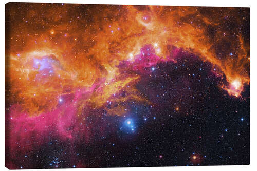 Canvas print the seagull nebula