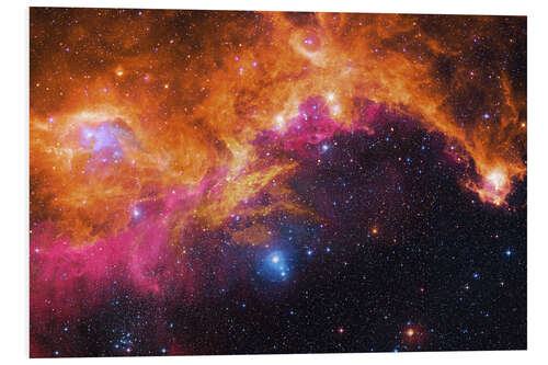 Foam board print the seagull nebula