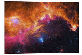 Foam board print the seagull nebula