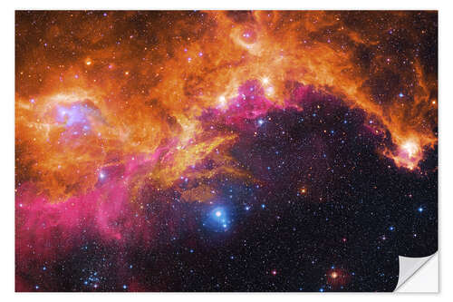 Selvklebende plakat the seagull nebula