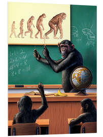 Hartschaumbild Evolution