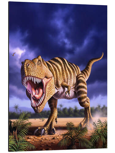 Cuadro de aluminio A Tyrannosaurus Rex attacks, lit by the late afternoon sun.