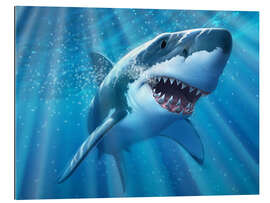 Gallery print A Great White Shark with sunrays just below the surface.