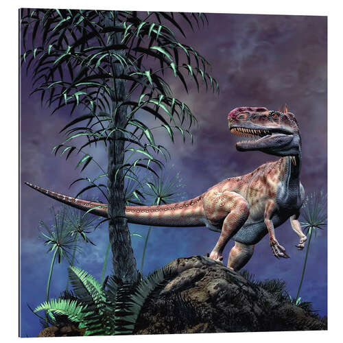 Galleritryk Monolophosaurus was a theropod dinosaur from the Middle Jurassic period.