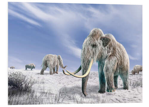 Quadro em PVC Mammoth in the Snow