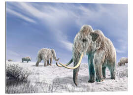 Galleriprint Mammoth in the Snow