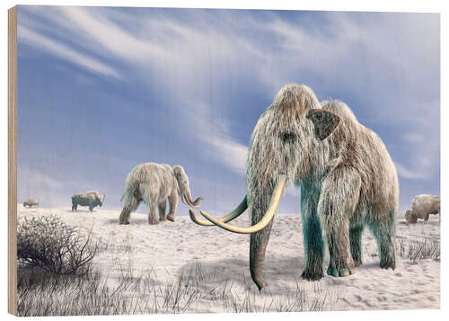 Wood print Mammoth in the Snow