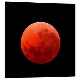 Foam board print Lunar eclipse on April 15, 2014